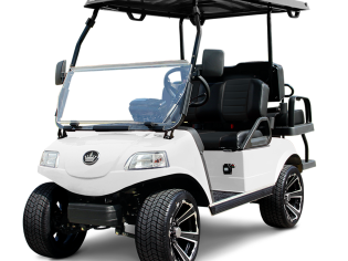 Golf Cart-Classic-4 PLUS LSV